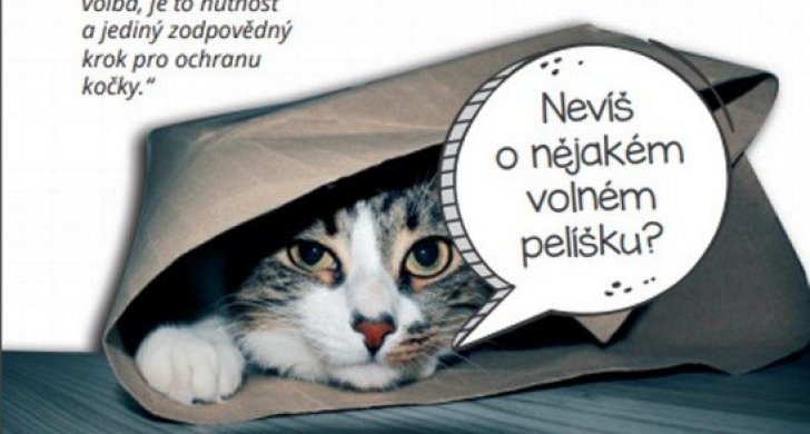 brožura (1).jpg